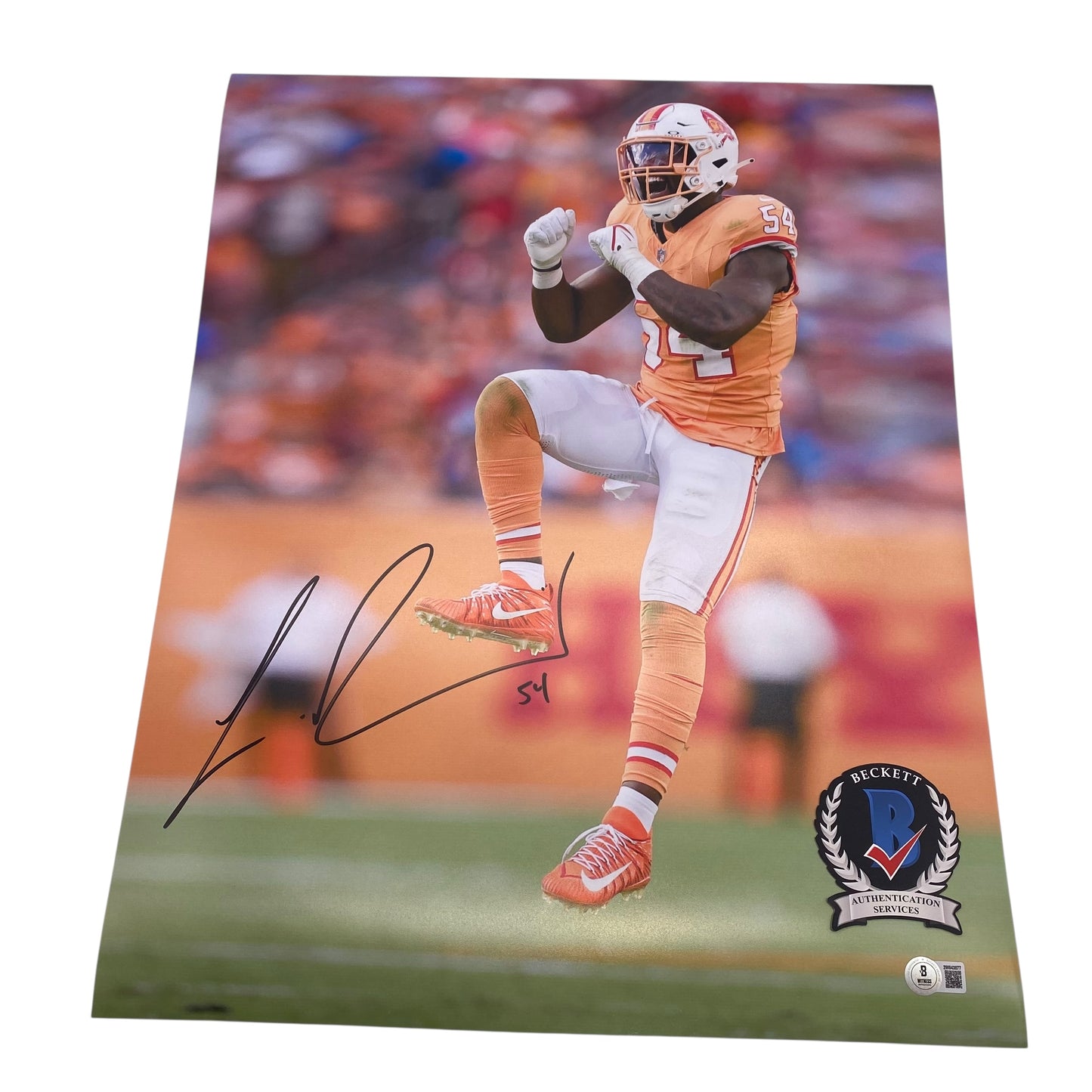 Lavonte David Signed Tampa Bay Buccaneers 16x20 Photo